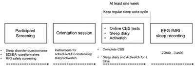 Brain Activation Time-Locked to Sleep Spindles Associated With Human Cognitive Abilities